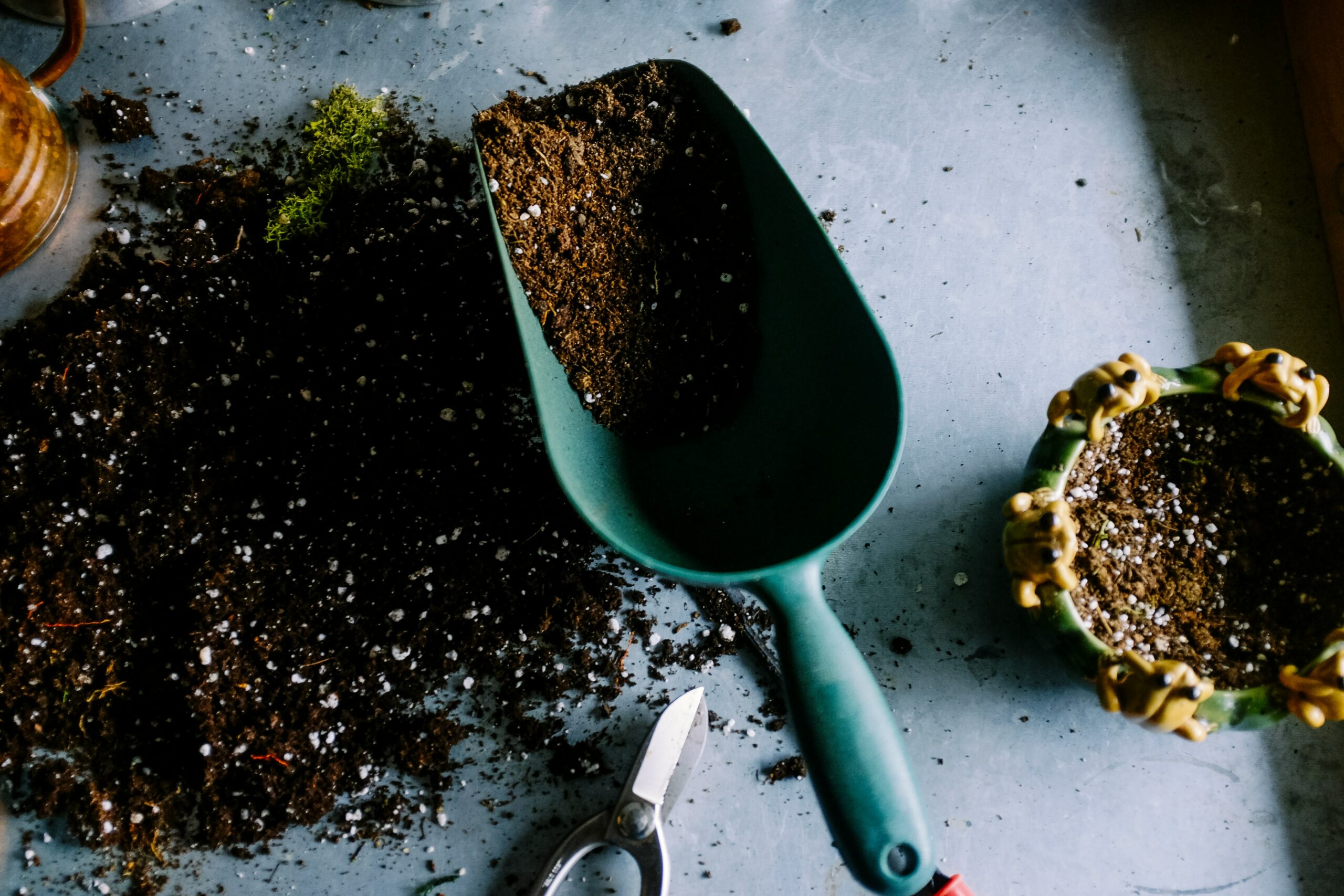 It's easy to start composting once you've got the knack for it!